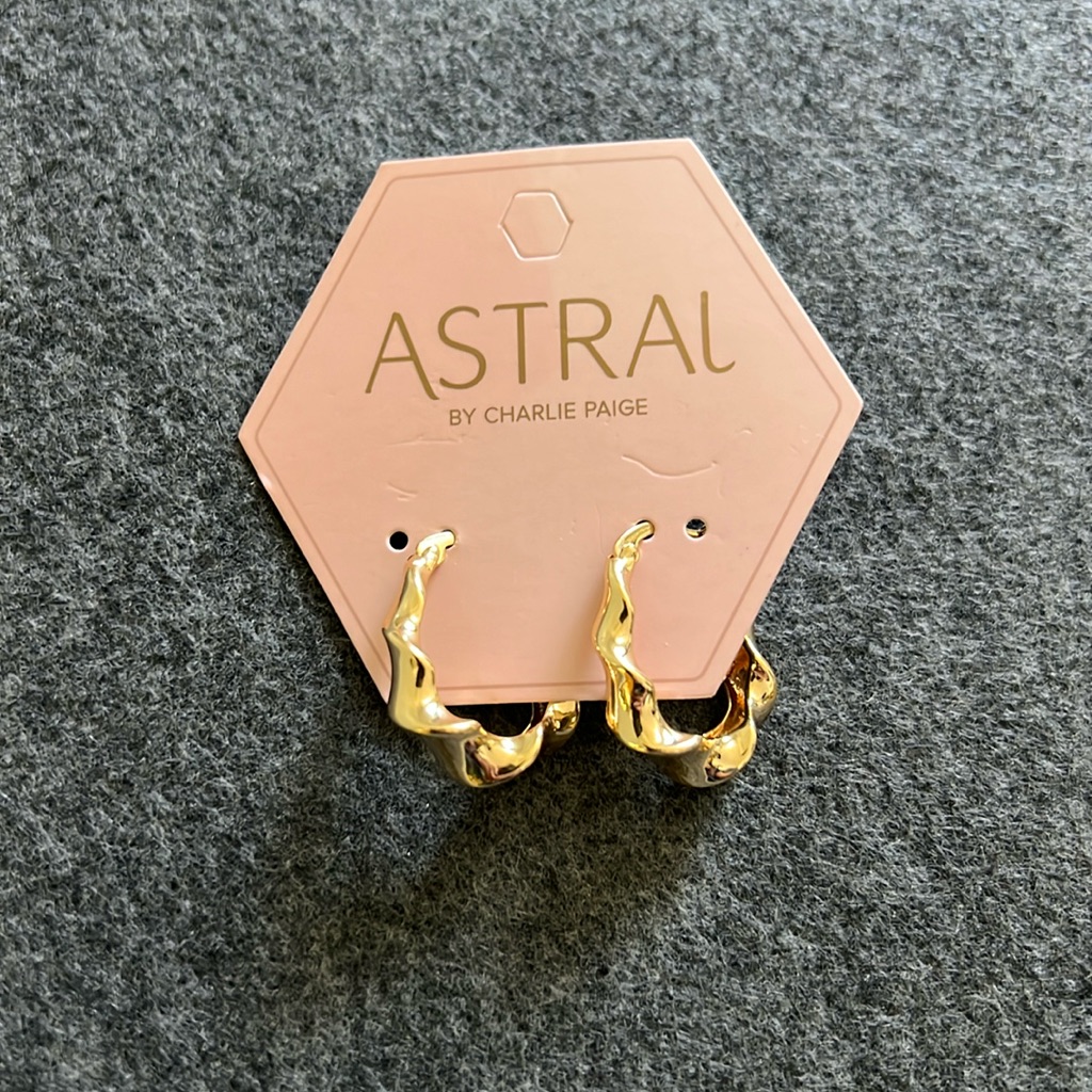 Astral Twisty Hoop Earrings